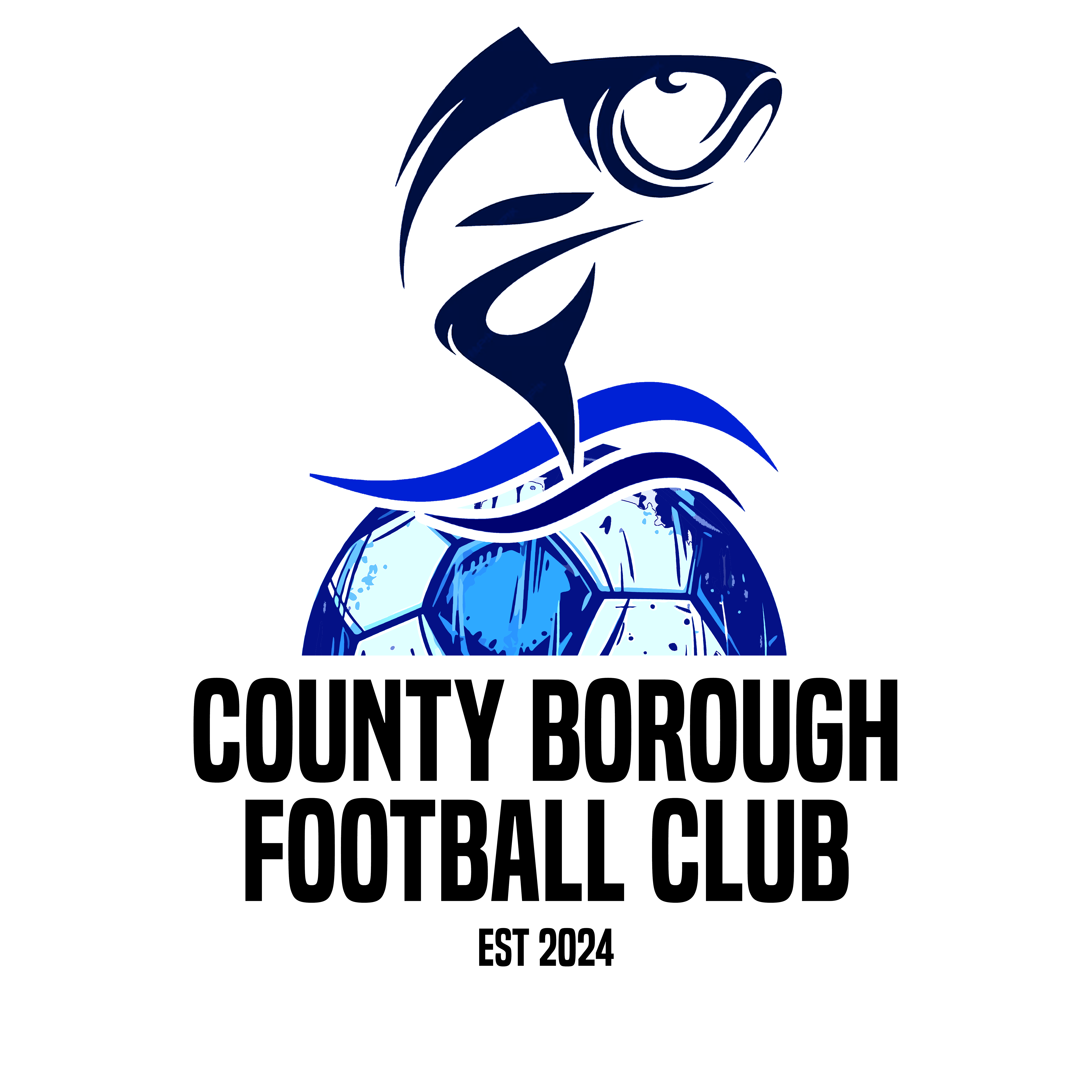 County Borough FC